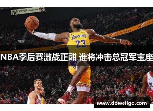 NBA季后赛激战正酣 谁将冲击总冠军宝座